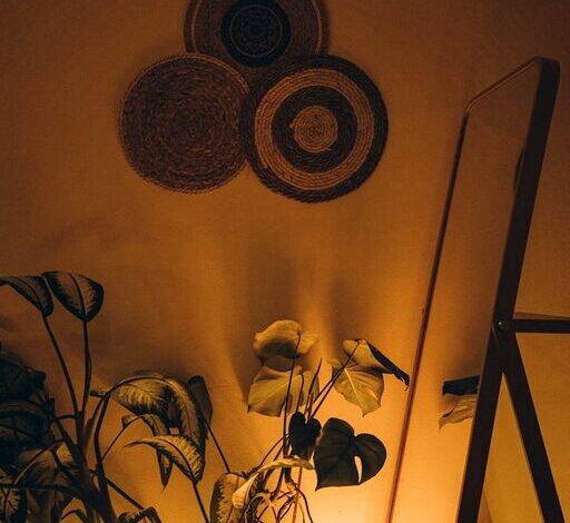 Simple Tips for Creating a Cozy and Inviting Home Environment